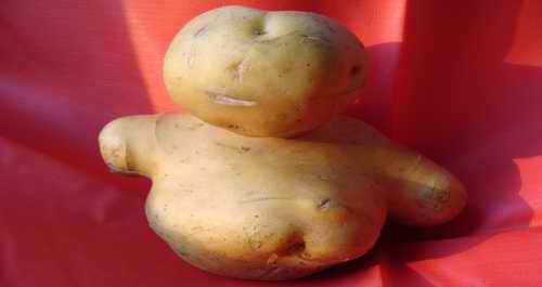色河農民挖出酷似人形洋芋