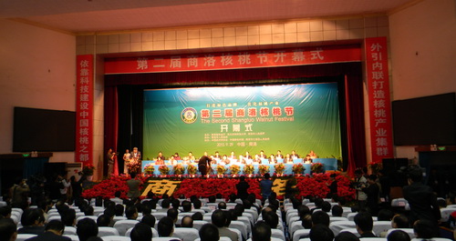 第二屆商洛核桃節開幕