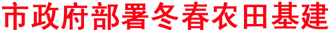 市政府部署冬春農(nóng)田基建