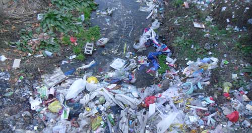 黑龍口鎮(zhèn)街道垃圾成堆堵住了河道 河水遭到嚴重污染