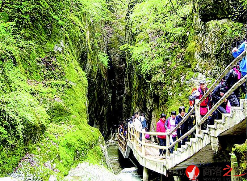 綠色生態游成為商洛主導產業,也使我市成為全國旅游百強城市。