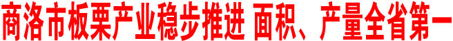 商洛市板栗產(chǎn)業(yè)穩(wěn)步推進(jìn) 面積、產(chǎn)量全省第一