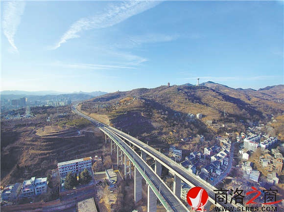 金鳳展翅金鳳展翅