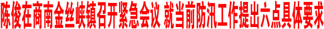 陳俊在商南金絲峽鎮召開緊急會議 就當前防汛工作提出六點具體要求