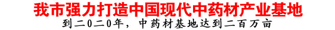 我市強力打造中國現代中藥材產業基地