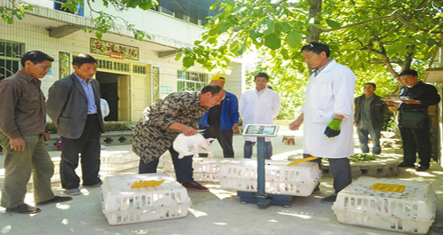 洛南兔業(yè)合作社上門為群眾服務