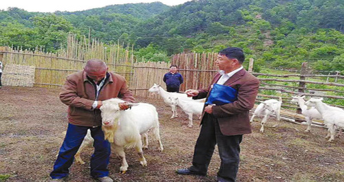 專家為貧困養殖戶開展培訓