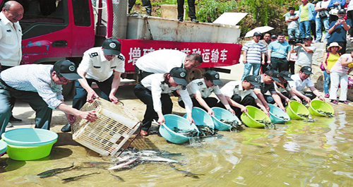 “放魚日”二龍山水庫放魚28萬尾