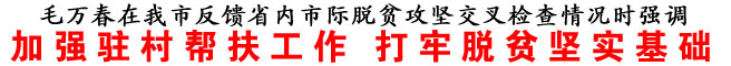 加強駐村幫扶工作 打牢脫貧堅實基礎