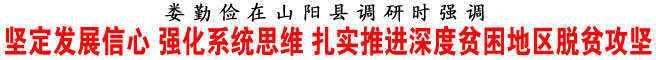 堅(jiān)定發(fā)展信心 強(qiáng)化系統(tǒng)思維 扎實(shí)推進(jìn)深度貧困地區(qū)脫貧攻堅(jiān)