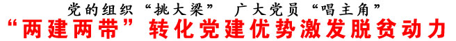 “兩建兩帶”轉(zhuǎn)化黨建優(yōu)勢(shì)激發(fā)脫貧動(dòng)力