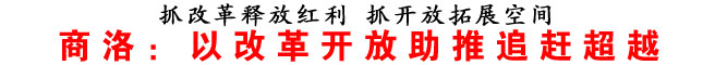 商洛：以改革開放助推追趕超越