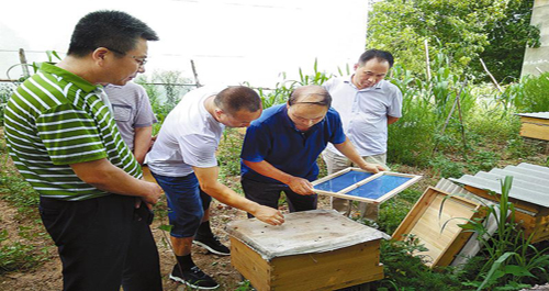 陜西林業(yè)集團(tuán)技術(shù)人員在洛南指導(dǎo)群眾養(yǎng)蜂