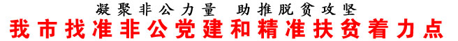 商洛市找準非公黨建和精準扶貧著力點