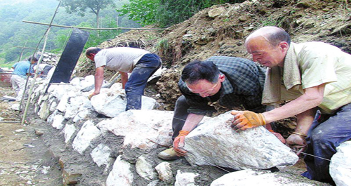 丹鳳兩村進行險工險段加固維修