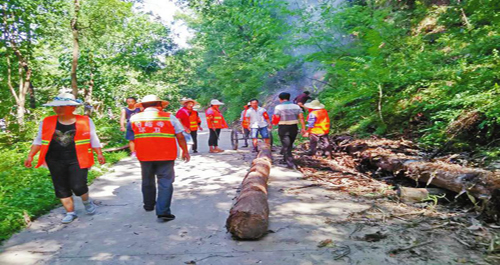 洛南開展農(nóng)村道路沿線雜草清理工作