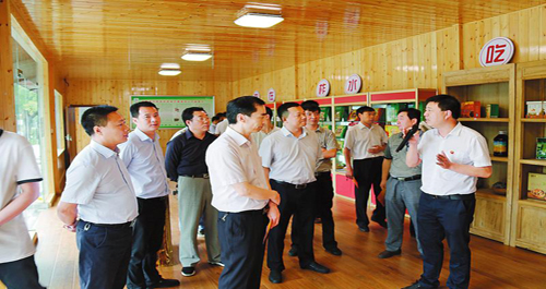 柞水組織人員學習老庵寺村等四村脫貧工作經驗