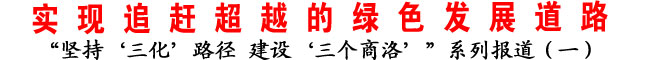 實現追趕超越的綠色發展道路
