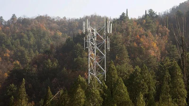 1密林深處，豎立起格外醒目的移動4G基站.jpg