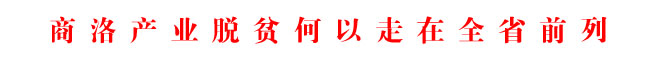 商洛產業脫貧何以走在全省前列