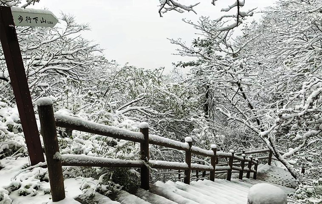 秦嶺五月雪紛飛 牛背梁景區惹人醉