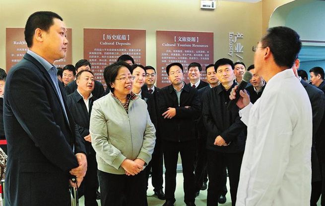 全市重大項目建設現(xiàn)場觀摩會在商南丹鳳觀摩