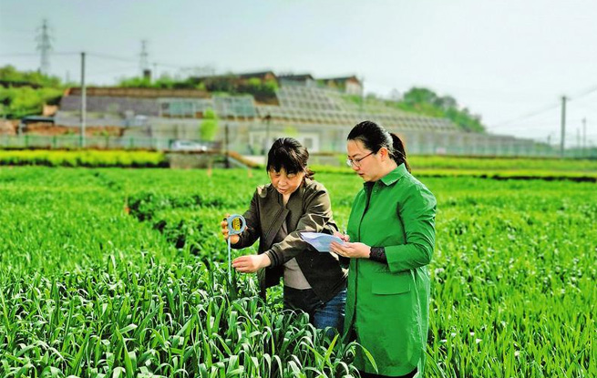 氣象科技 助農增產