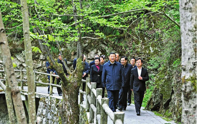 和煦春風滿商洛