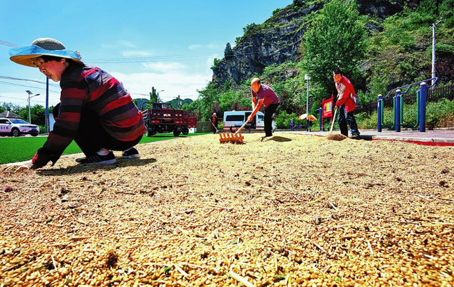 風(fēng)吹麥浪 顆粒歸倉(cāng)