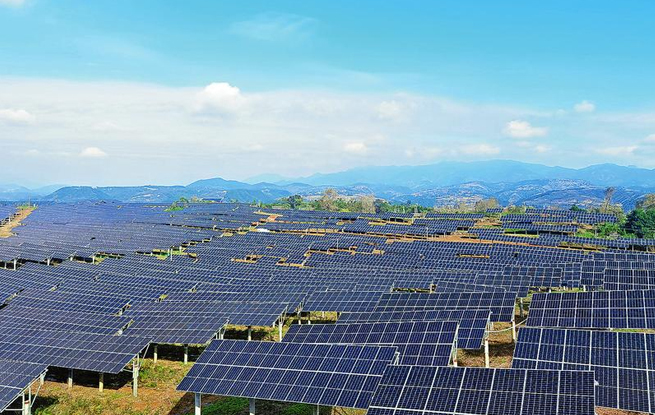 “光伏+種植農業”助力“雙碳”目標實現