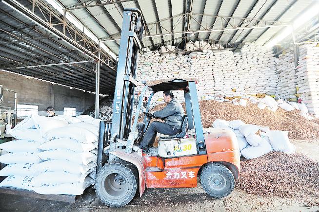 商洛一民營企業核桃殼產品暢銷多國