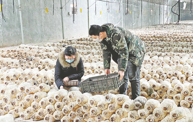 加大檢測力度 確保春節食品安全