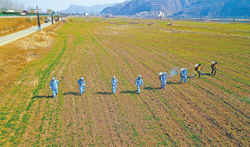 穩面積保產量 春耕備耕忙