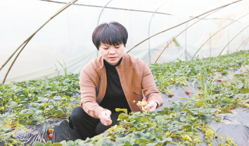 創業創新“她”力量 筑夢路上放異彩