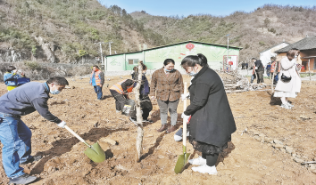全民動員植樹造林 建設秦嶺山水鄉村