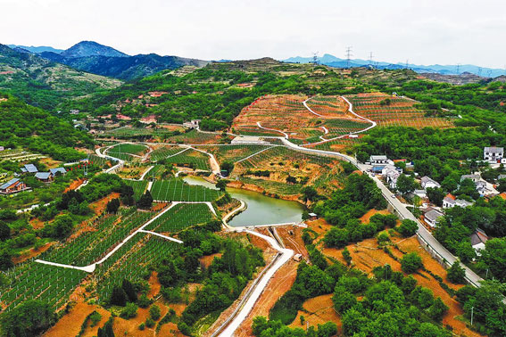 建設秦嶺山水鄉村 豐富康養之都內涵