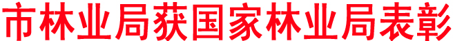 市林業(yè)局獲國(guó)家林業(yè)局表彰