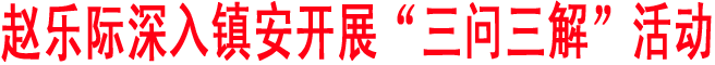 趙樂際深入鎮安開展“三問三解”活動