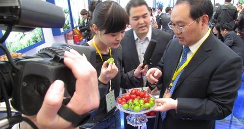 第十六屆西洽會商洛展館掠影