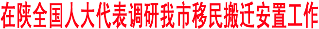 在陜全國人大代表調研我市移民搬遷安置工作