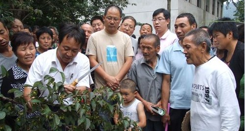 我市林業部門深入田間指導果農開展病蟲害防治