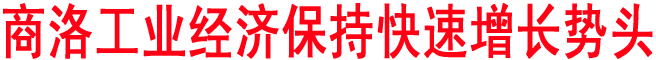 商洛工業(yè)經(jīng)濟(jì)保持快速增長勢頭
