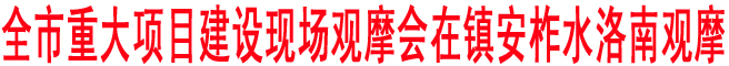 商洛市重大項目建設現場觀摩會在鎮安柞水洛南觀摩