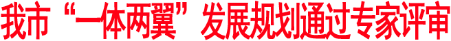 我市“一體兩翼”發展規劃通過專家評審