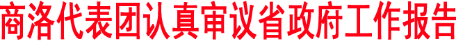 商洛代表團(tuán)認(rèn)真審議省政府工作報(bào)告和計(jì)劃、財(cái)政報(bào)告