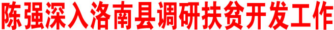 陳強在洛南縣調研扶貧開發工作時強調：搶抓機遇 加快發展 持之以恒抓好扶貧開發工作
