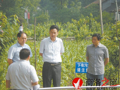 柳憲軍副市長調研農村垃圾污水處理工程