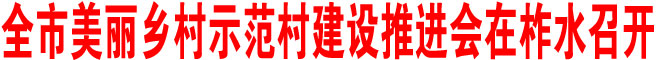 全市美麗鄉(xiāng)村示范村建設(shè)推進(jìn)會(huì)在柞水召開(kāi)