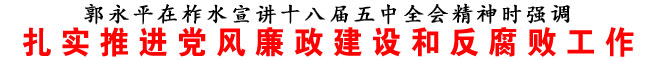扎實推進黨風廉政建設和反腐敗工作