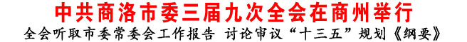 中共商洛市委三屆九次全會在商州舉行